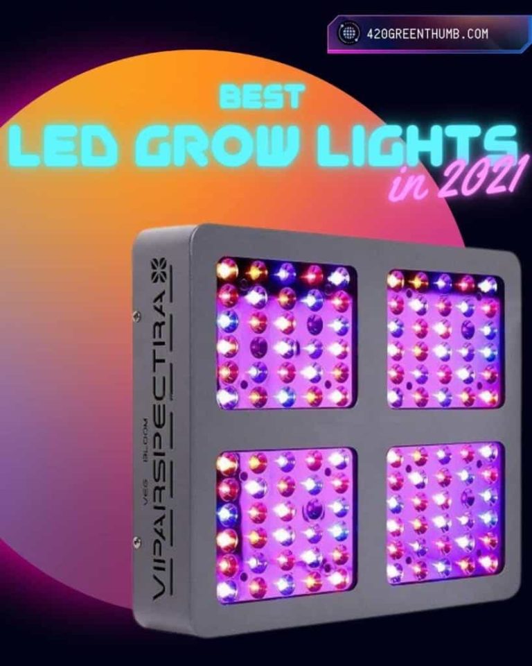 Best LED Grow Light For A 4×4 Tent [Updated!]
