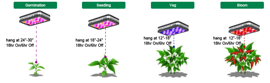 The 14 Best 600 Watt LED Grow Lights For Your Garden
