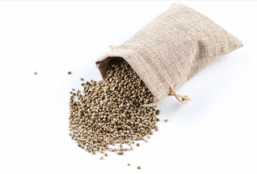 Are Bag Seeds Worth Growing? Advantages &, Disadvantages