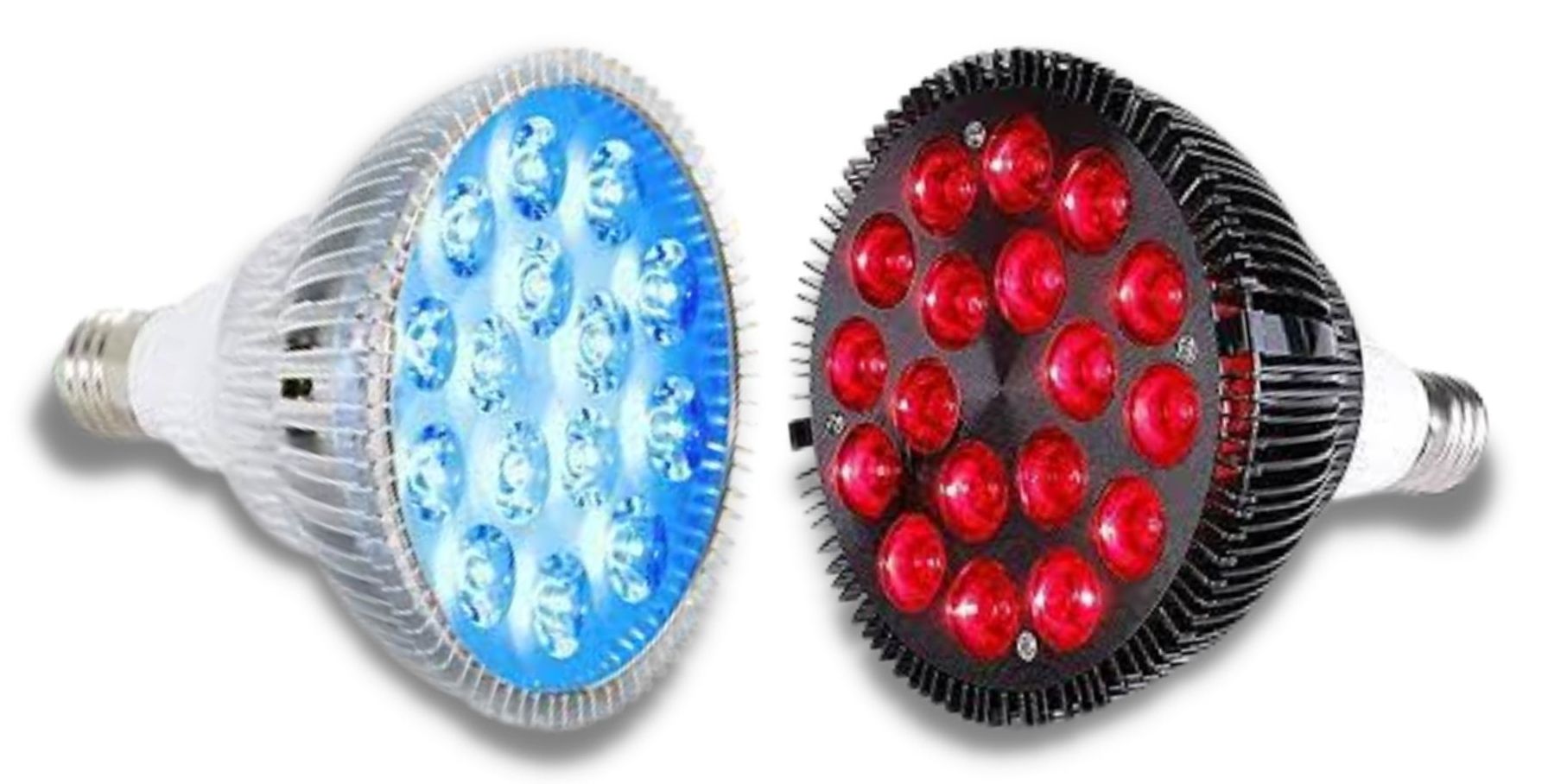 Can Any LED Light Be Used As A Grow Light? Our Full Guide!