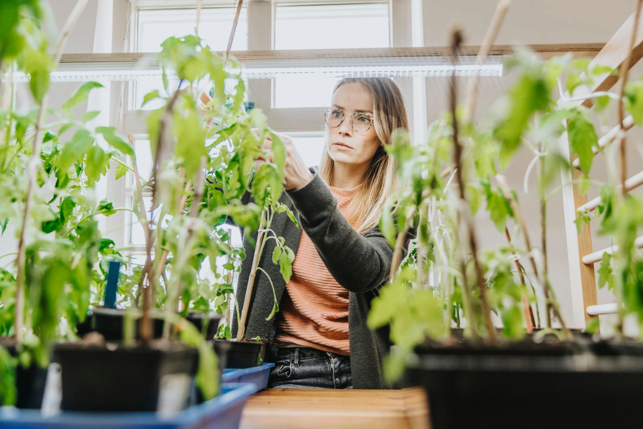 How To Choose The Right Lighting For Your Marijuana Grow Room