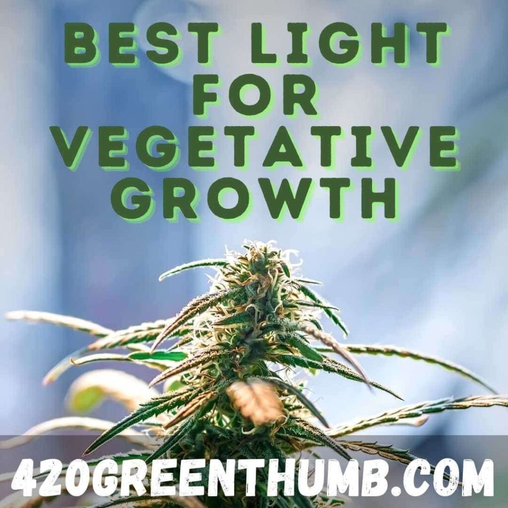 5 Best LED Light For Vegetative Growth 2022 | Pick The Right One