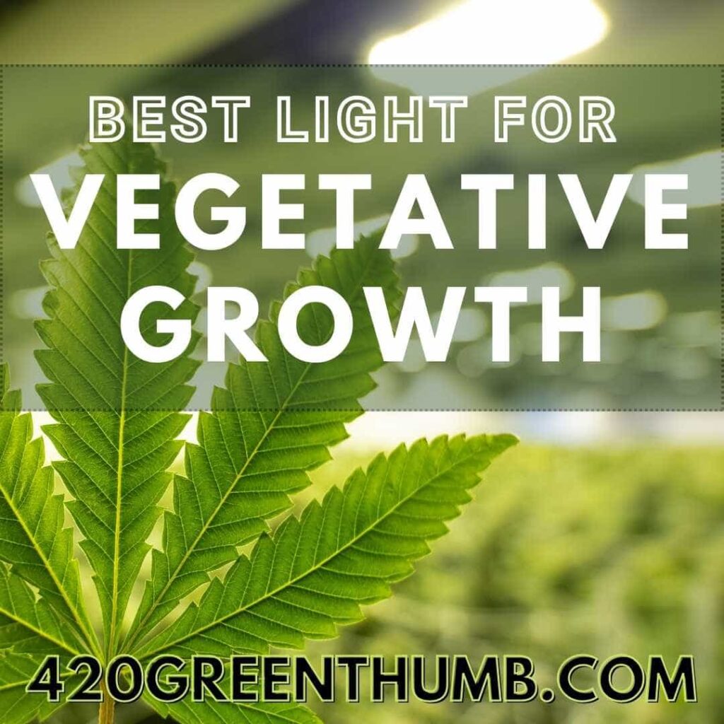 5 Best LED Light For Vegetative Growth 2022 Pick The Right One
